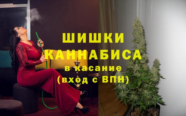 сатива Нефтегорск