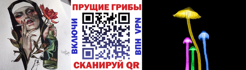 Галлюциногенные грибы мухоморы  дарнет шоп  Миньяр 